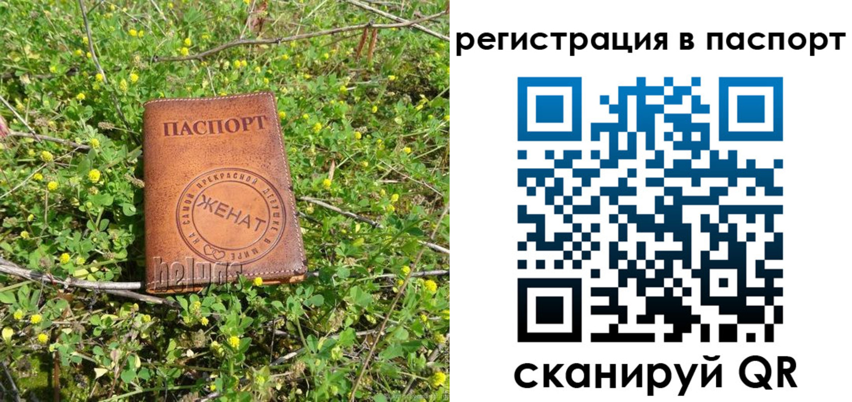 прописка законно в Таре
